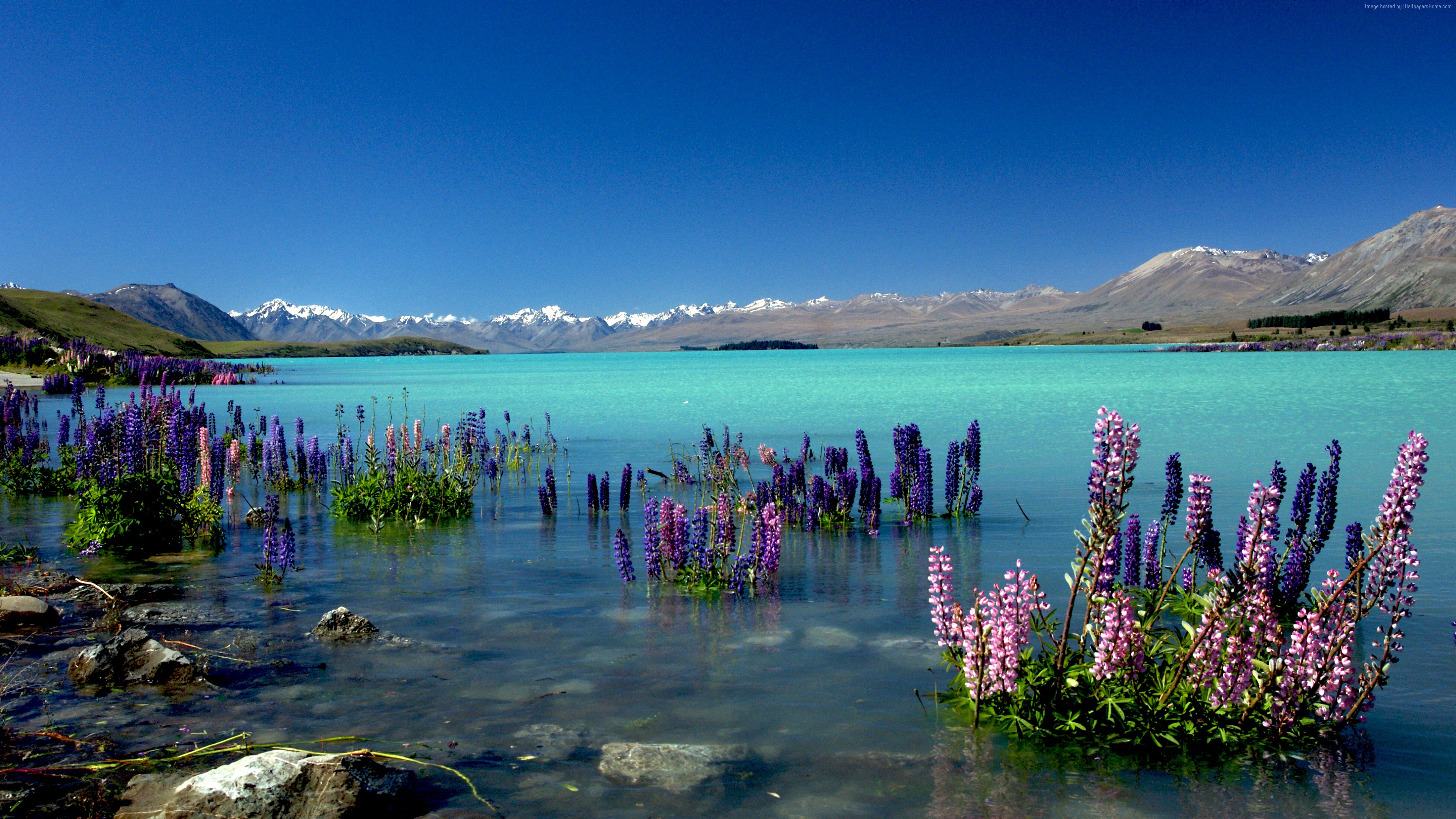 Wallpaper Lake Tekapo, New Zealand, mountains, 4k, Travel